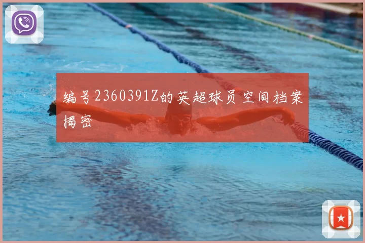 编号2360391Z的英超球员空间档案揭密