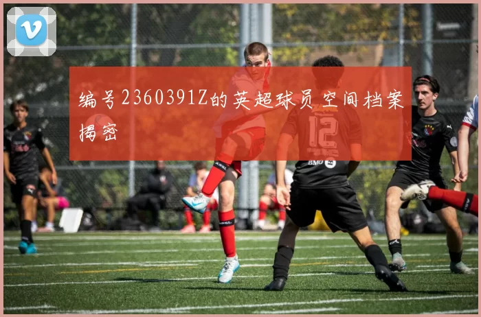 编号2360391Z的英超球员空间档案揭密
