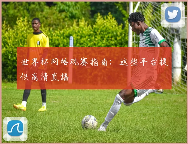 世界杯网络观赛指南：这些平台提供高清直播