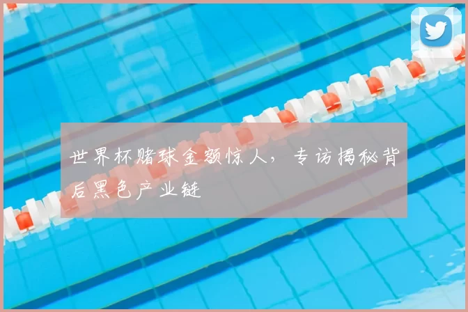 世界杯赌球金额惊人,专访揭秘背后黑色产业链