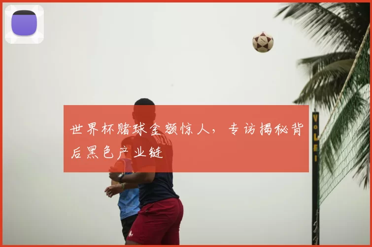 世界杯赌球金额惊人,专访揭秘背后黑色产业链