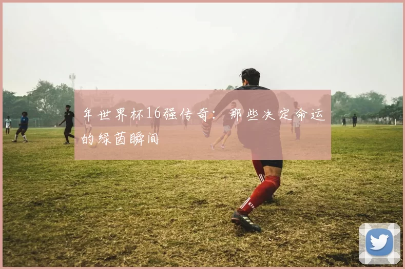 年世界杯16强传奇：那些决定命运的绿茵瞬间