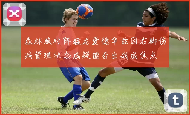 森林狼对阵猛龙爱德华兹因右脚伤病管理状态成疑能否出战成焦点