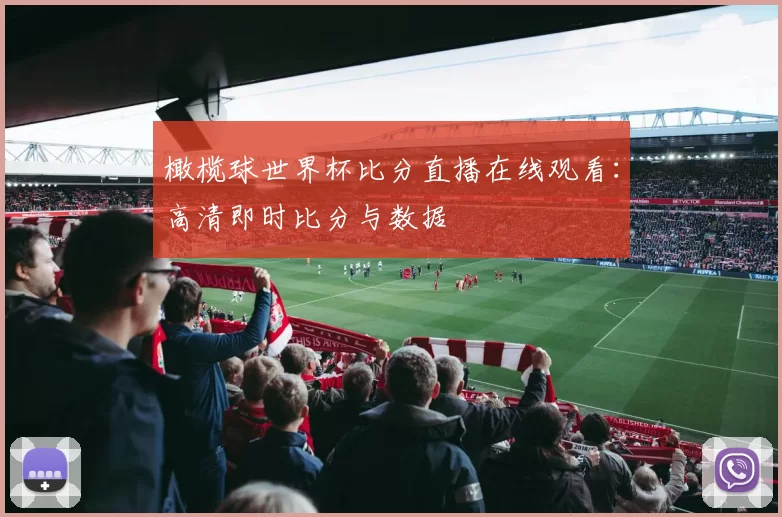 橄榄球世界杯比分直播在线观看：高清即时比分与数据