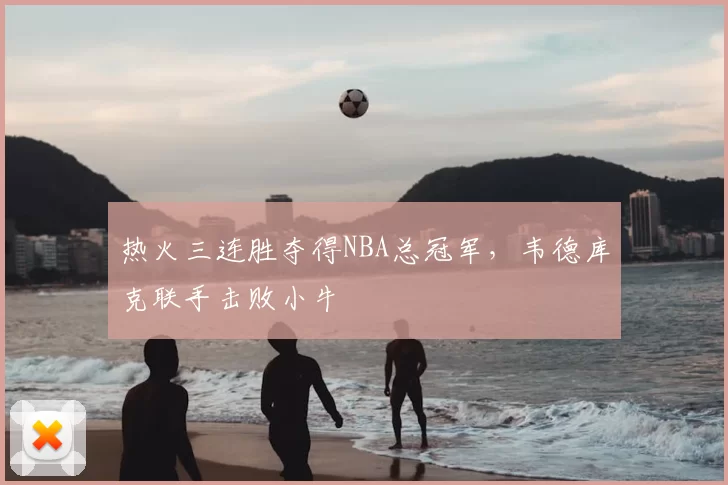 热火三连胜夺得NBA总冠军，韦德库克联手击败小牛