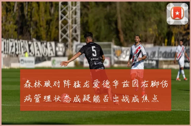 森林狼对阵猛龙爱德华兹因右脚伤病管理状态成疑能否出战成焦点