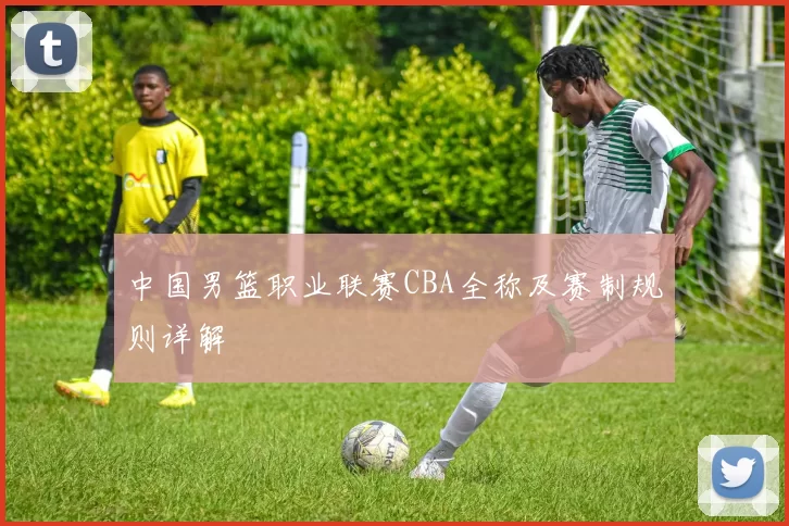 中国男篮职业联赛CBA全称及赛制规则详解