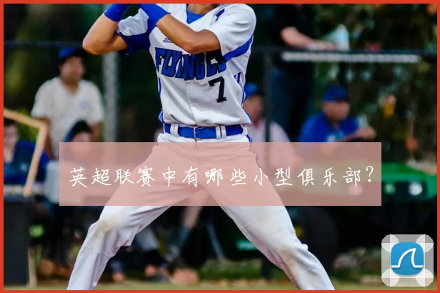 英超联赛中有哪些小型俱乐部？