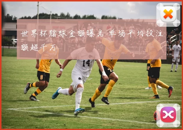 世界杯赌球金额曝光 单场平均投注额超千万