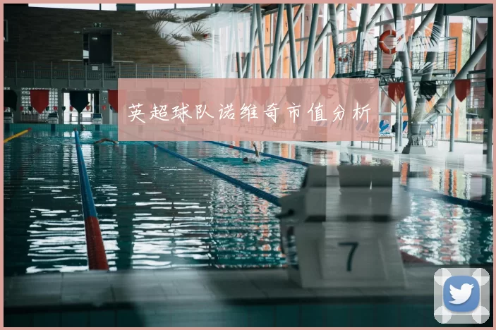 英超球队诺维奇市值分析