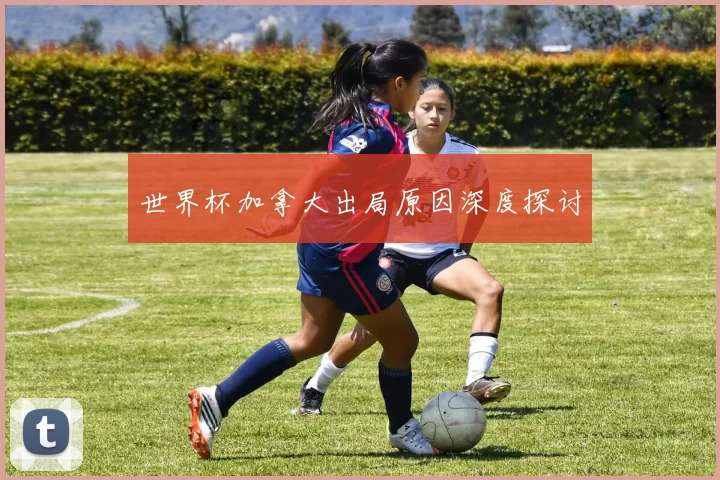 世界杯加拿大出局原因深度探讨