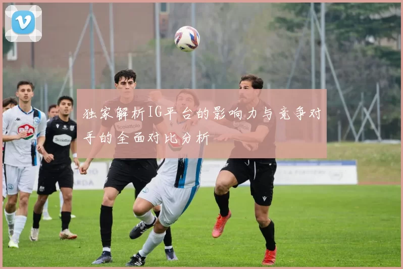 独家解析IG平台的影响力与竞争对手的全面对比分析
