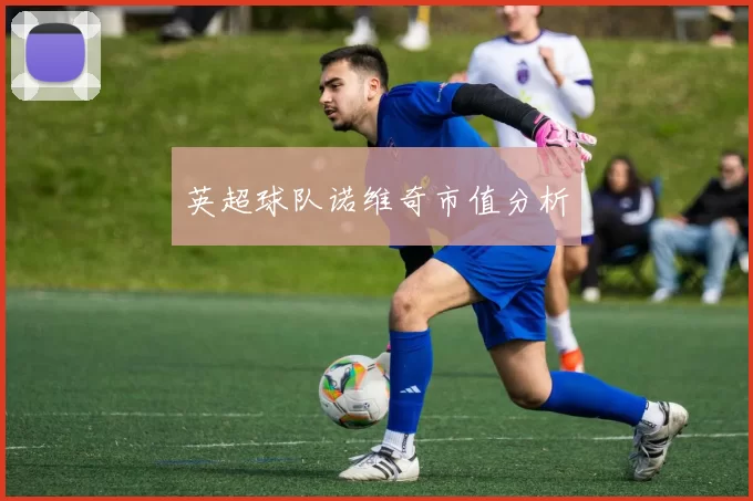英超球队诺维奇市值分析