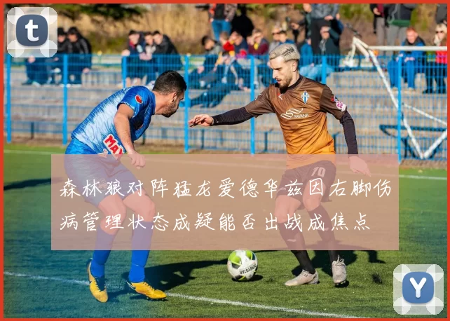 森林狼对阵猛龙爱德华兹因右脚伤病管理状态成疑能否出战成焦点