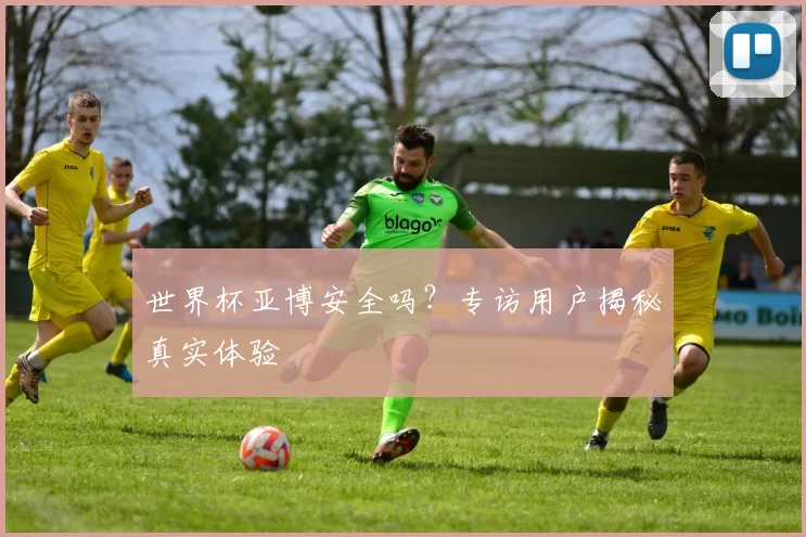 世界杯亚博安全吗?专访用户揭秘真实体验