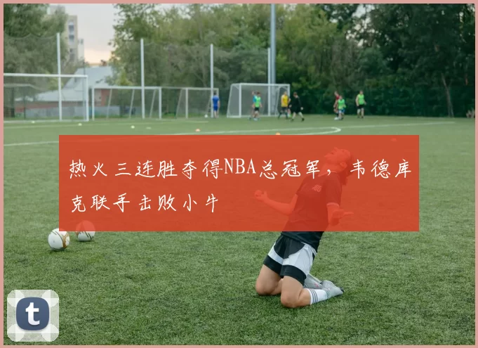 热火三连胜夺得NBA总冠军，韦德库克联手击败小牛