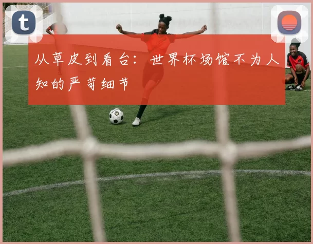 从草皮到看台：世界杯场馆不为人知的严苛细节
