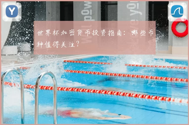 世界杯加密货币投资指南:哪些币种值得关注?