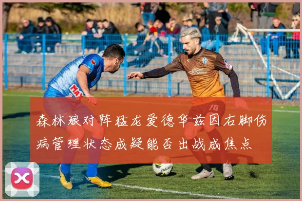 森林狼对阵猛龙爱德华兹因右脚伤病管理状态成疑能否出战成焦点