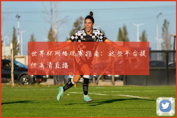 世界杯网络观赛指南：这些平台提供高清直播