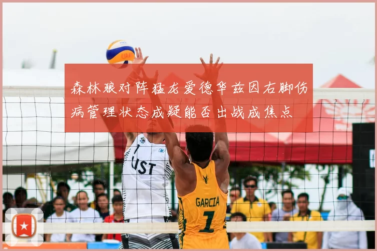 森林狼对阵猛龙爱德华兹因右脚伤病管理状态成疑能否出战成焦点