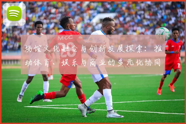 场馆文化融合与创新发展探索：推动体育、娱乐与商业的多元化协同发展